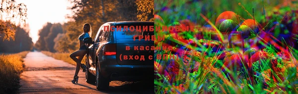 ALPHA PVP Приозерск
