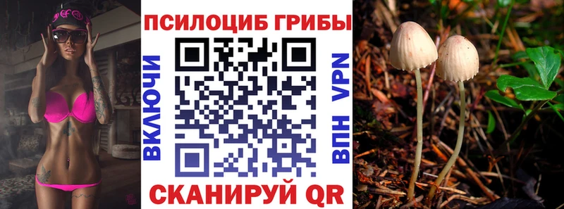 как найти наркотики  Апрелевка  Галлюциногенные грибы Cubensis 
